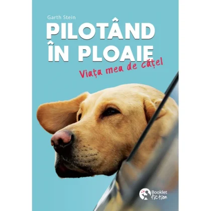 Pilotând în ploaie